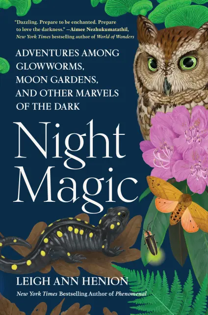 book cover image of Night Magic by Leigh Ann Henion