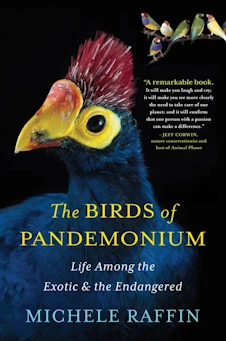 book cover image of The Birds of Pandemonium by Michele Raffin